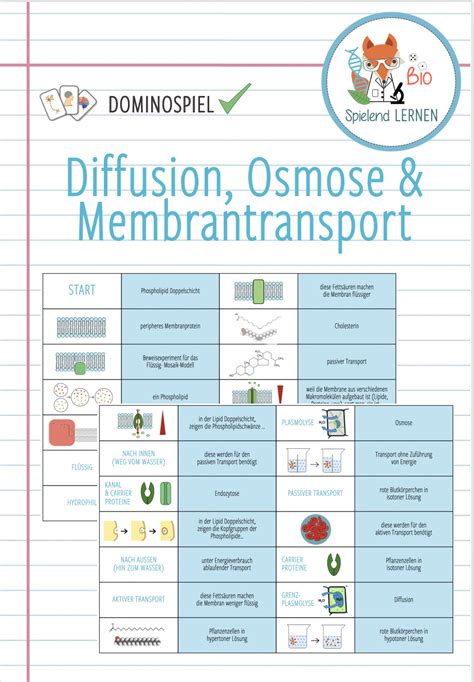 Diffusion Osmose Membrantransport Domino Spiel