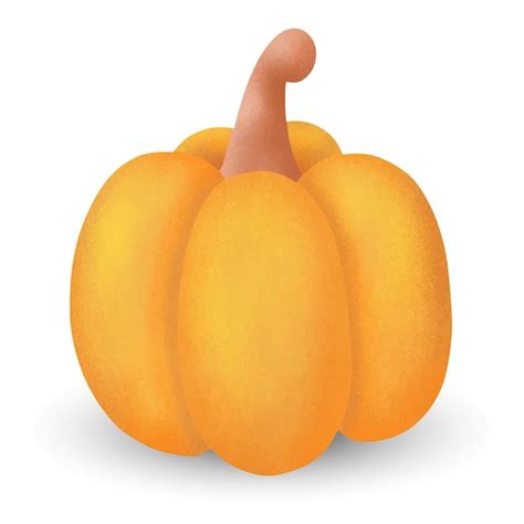 Calabaza dibujada a mano ilustración vectorial Vector Premium