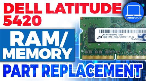 Dell Latitude How To Install Replace Ram Memory Repair Guide