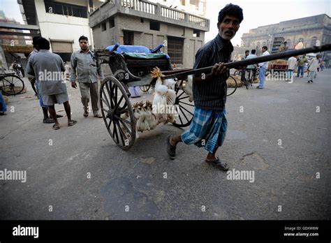 INDIA. Kolkata. 2011. Rickshaw puller Stock Photo - Alamy