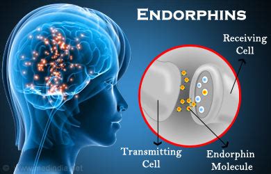 Chi Energy Exercises Increase Endorphins | School of Chi Energy