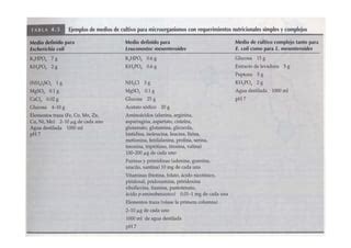 Productos Lacteos Fermentados Ppt