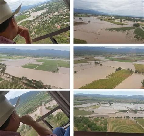 Lluvias Afectan 2 Mil Hectáreas De Cultivo En Nayarit Excélsior