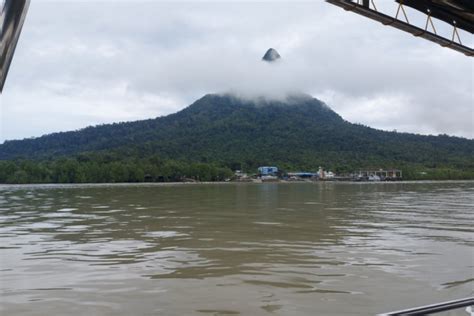 Dolphin Mangrove Cruise Sarawak Cultural Village Tour Tripcarteasia