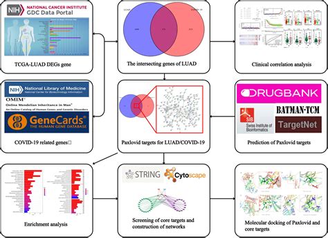 Frontiers Network Pharmacology And Bioinformatics Analysis Identifies