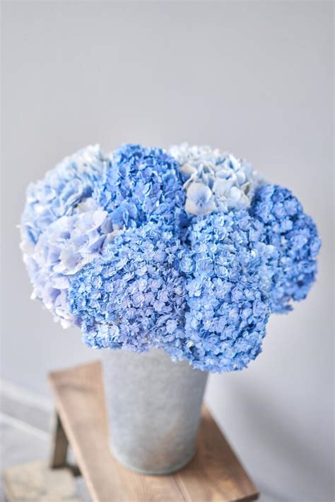 Beautiful Blue Hydrangea Flowers In A Vase On A Table Bouquet Of