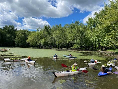 Making an Impact on Invasive Species Thanks to Volunteers