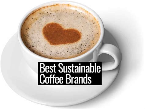 Best Ethical Sustainable Coffee Brands The Sustainable Living Guide