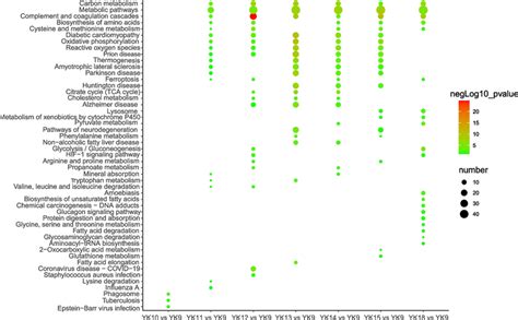 Kegg Analysis Of Different Abundance Proteins Color Represents Download Scientific Diagram