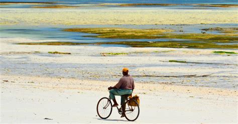 Où cette photo a t elle été prise Au Sénégal À Zanzibar À