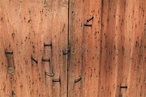 Natural Wooden Planks With Nails At Sunlight Tiling Wooden Cottage