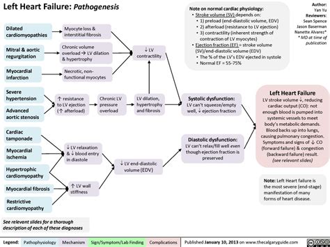 Left Heart Failure: Pathogenesis | Calgary Guide