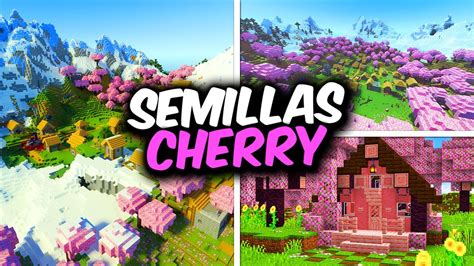 TOP 5 SEMILLAS De CHERRY BIOME Para Minecraft 1 21 YouTube