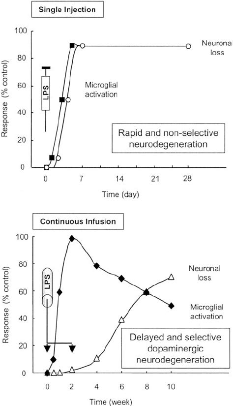 Comparison Of The Single Injection Acute And Infusion Chronic