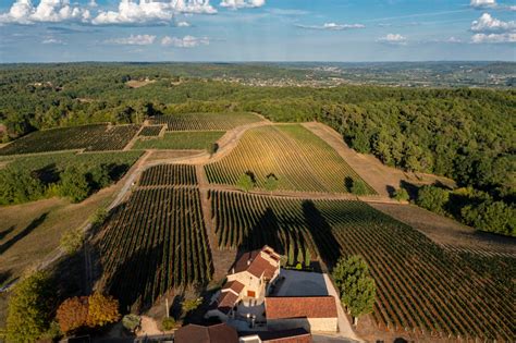 G Rard Bertrand Buys French Organic Wine Estate Just Drinks