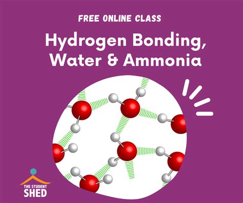 Hydrogen Bonding, Water & Ammonia |The Student Shed