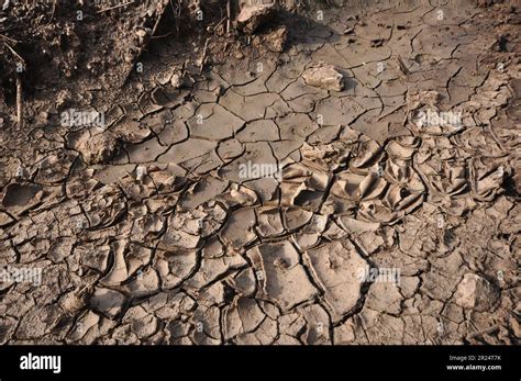 soil  dry mud  rain  water seeping   ground