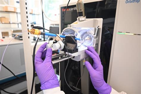 English Language PhD Salaries: Career Earnings and Trends 1