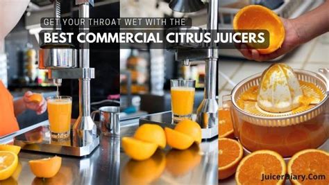 10 Best Commercial Citrus Juicers Of 2023: The Ultimate Guide