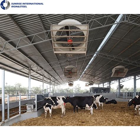 Prefabricated Light Frame Construction Cattle Farms Dairy Farm Shed