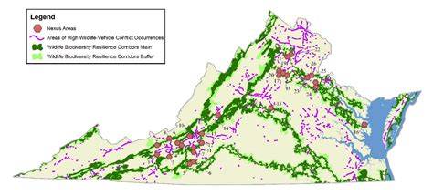 Virginia’s Wildlife Corridor Action Plan | Virginia DWR