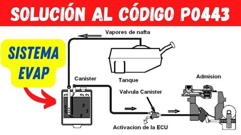 Acura Tl P Circuito De La V Lvula De Control De Purga Del Sistema