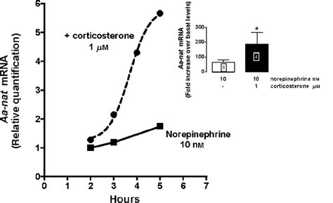 Potentiating Effect Of Corticosterone On The Expression Of Aa Nat Mrna