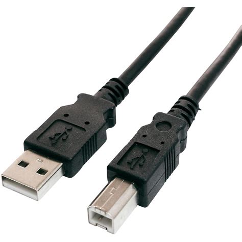 Tera Grand Black Usb A Male To B Male Cable Guitar Center