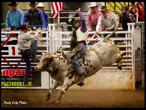 National Finals For Nfpb Bull Riding This Weekend