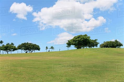 Open Grass Field With Trees In The Distance Honolulu Hawaii United States Of America Stock