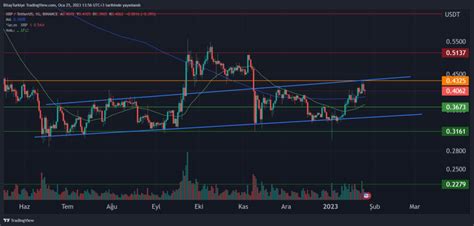 25 Ocak XRP Teknik Analiz Bitay