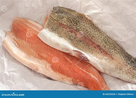 Fresh Rainbow Trout Filets Royalty Free Stock Photo