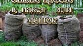 Клубника на заборе - YouTube