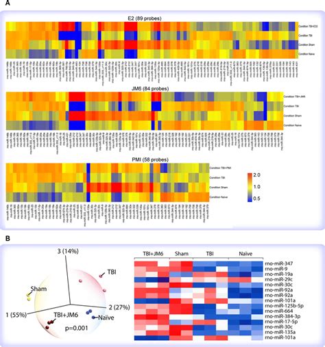 Agilent Microrna Microarray Analysis A Heatmaps Of Genome Wide Mirna Download Scientific