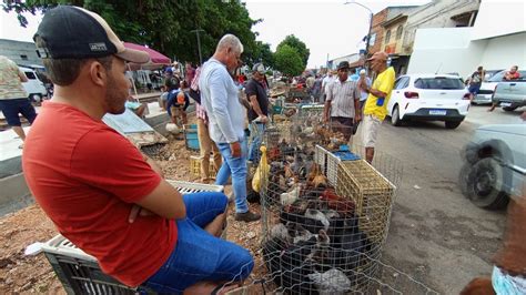 Vanio Mostrando As Novidades Da Feira De Galinhas Na Linha Do Trem Em