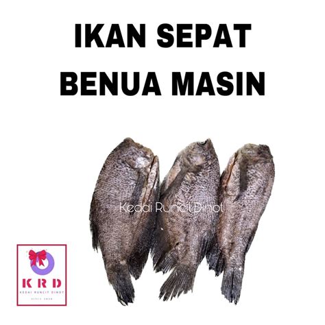 Ikan Sepat Benua Masin Tanjung Dawai Ikan Kering Vacuum Pack