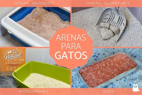 Tipos de ARENA PARA GATOS Cómo elegir la mejor