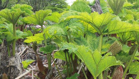 retail distribution review  pointy