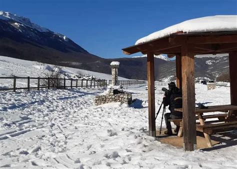 Continua Tra La Neve Il Monitoraggio Dei Camosci Appenninici