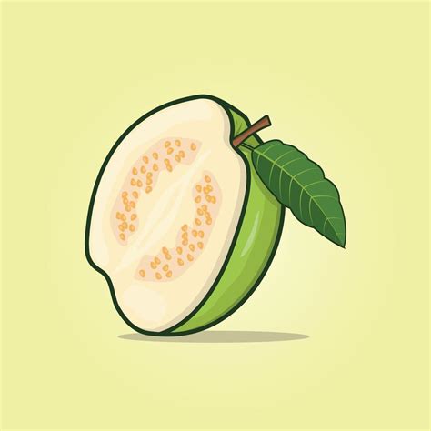 Summer Tropical Fruits For Healthy Lifestyle Guava Whole Fruit And