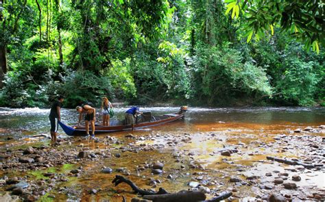 Taman Negara National Park Kuala Lumpur Book Tickets Tours