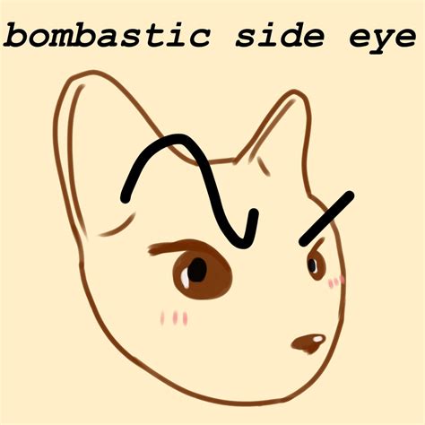 bombastic side eye | Side eye, Siding, Eyes