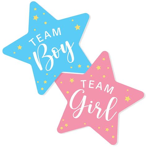 Team Boy And Team Girl Gender Reveal Stickers Labels Waterproof For