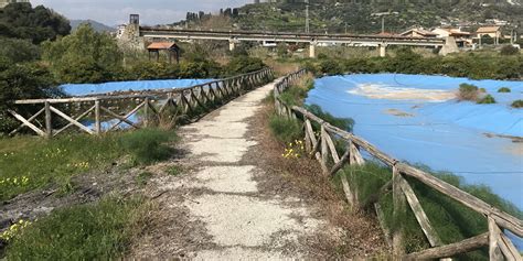 SikilyNews it Corridoi ecologici del torrente Agrò affidati i lavori