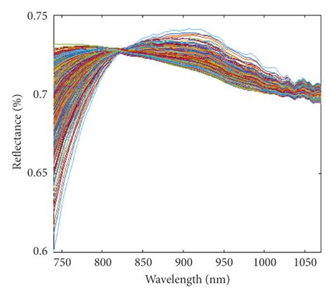 Raw And MSC Preprocessed Spectra Of Eggs A1 A2 For Ambient Storage