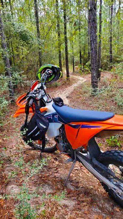 Ohv Clear Creek Riding Florida Parks