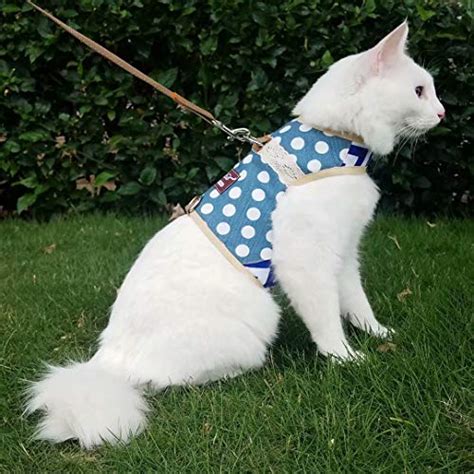 Whats The Best Cat Harness At Carl Phifer Blog