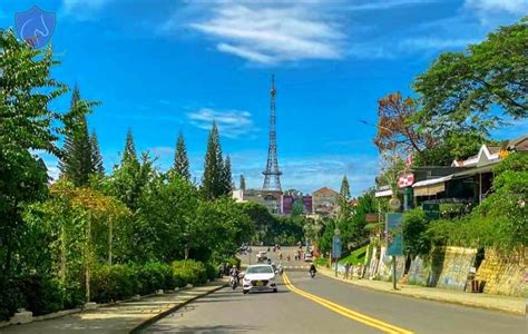 Da Nang To Dalat By Private Car Culture Pham Travel