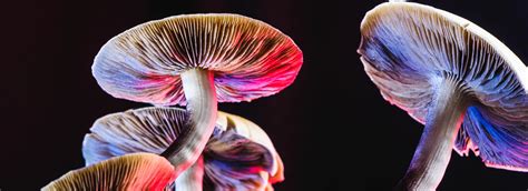 oborotka420.com раста магазин 420 - oborotka420 Купити бонг Україна ...