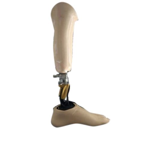 Silicone Below Knee Prosthetic Leg Size Feet H At Rs In Patna